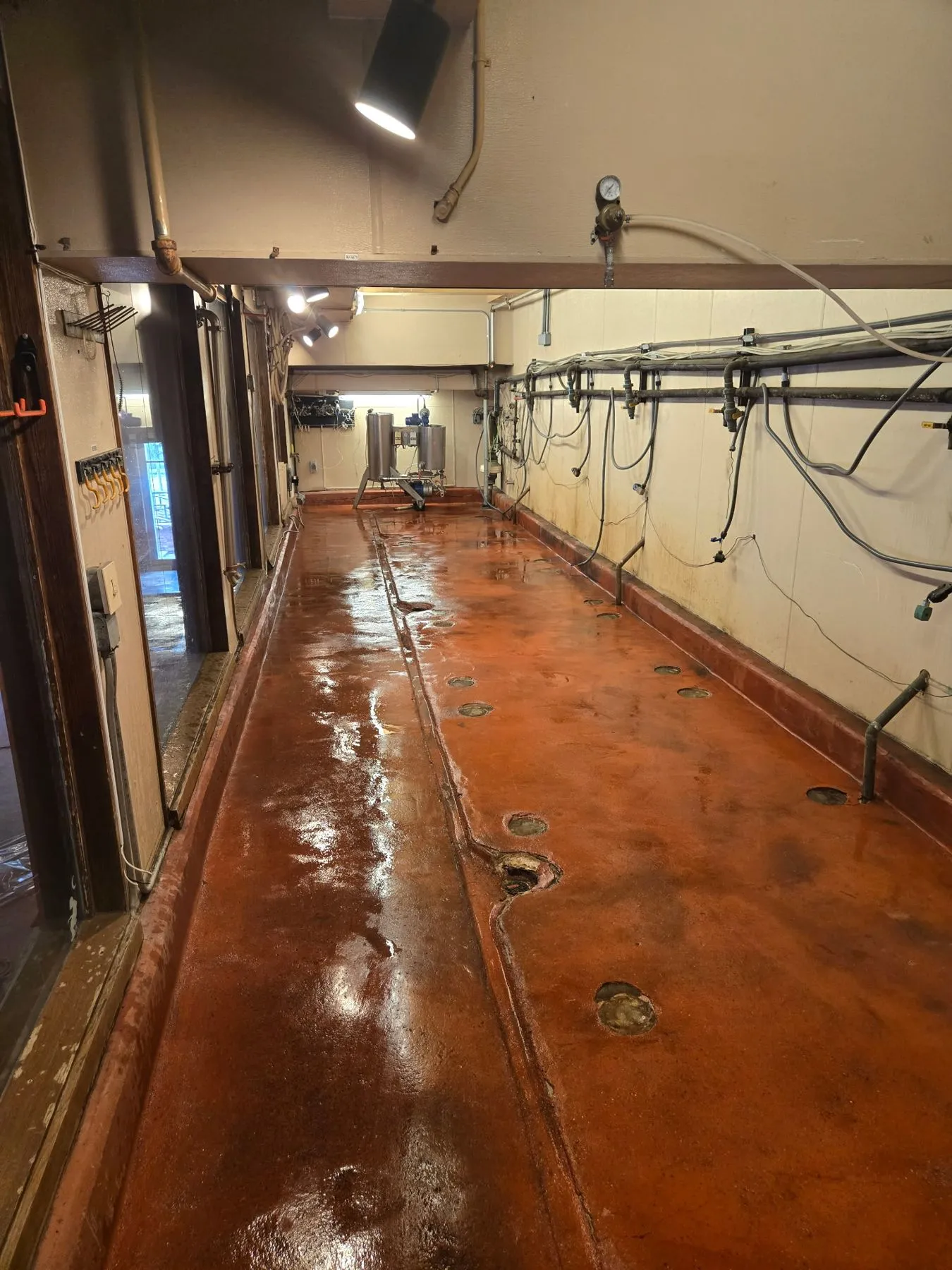 After: Same room, swept